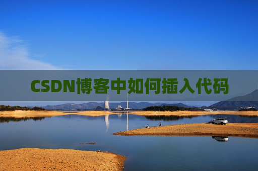 CSDN博客中如何插入代码